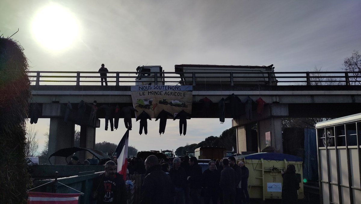 eelv31so tweet media