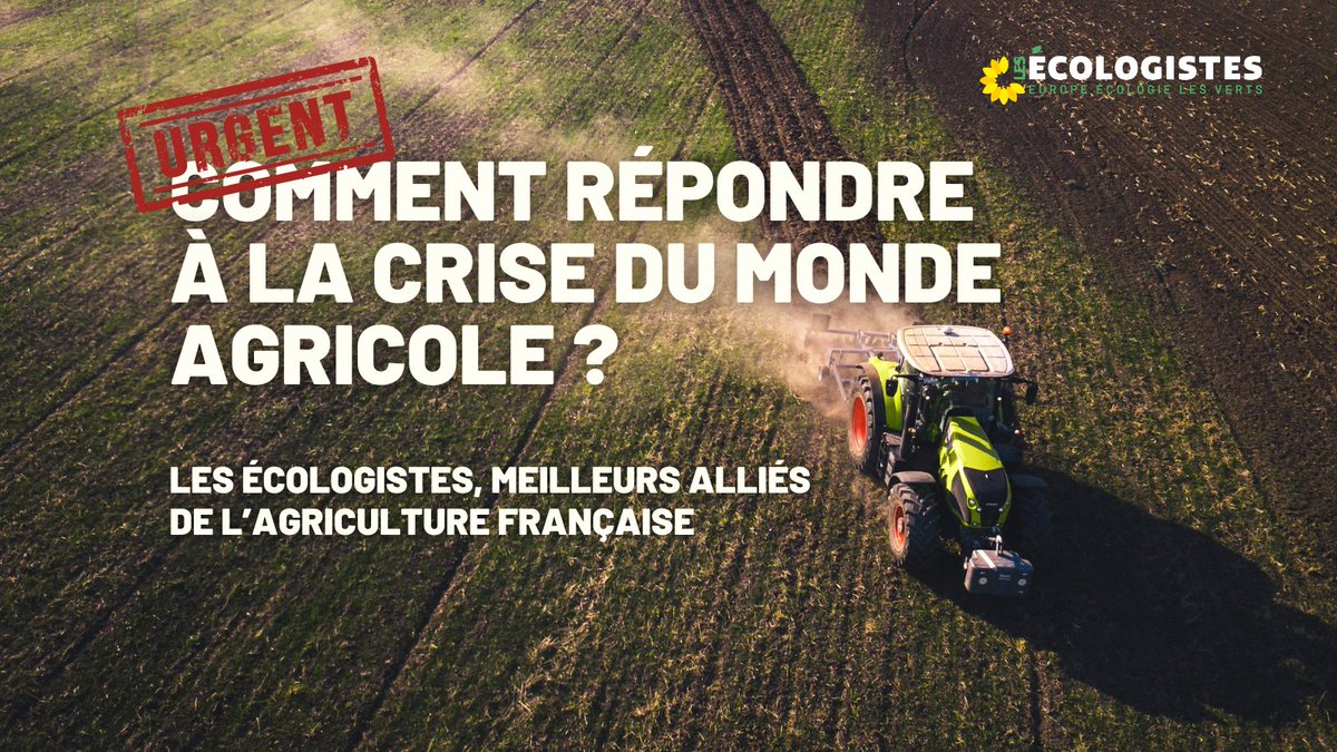 eelv31so tweet media