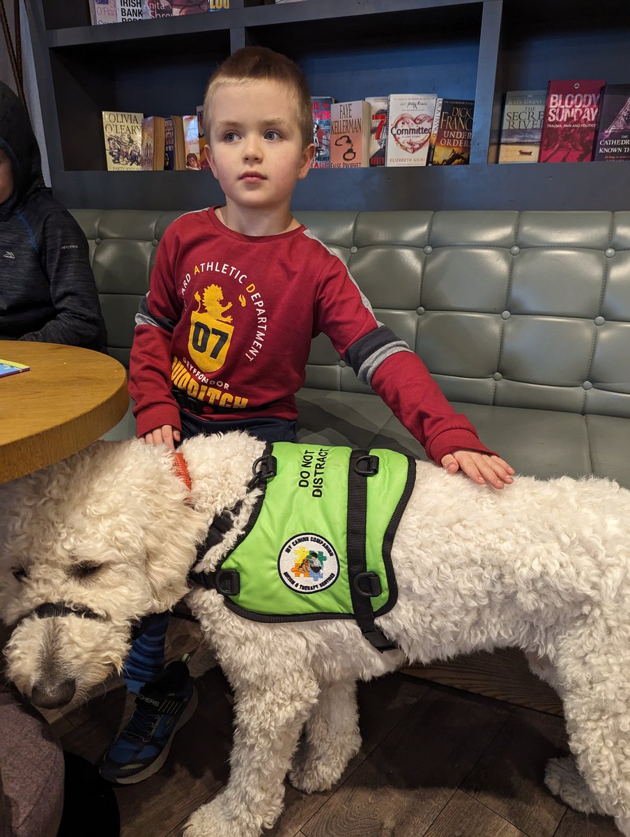 holymoses79's tweet photo. Lovely morning in Kells, Co Meath. Headed to @Aldi_Ireland and then into @_InsomniaCoffee. Emmett was incredible @mycaninecompani and the whole trip was lovely and stress free!! https://t.co/Fa7PhnnaY2
