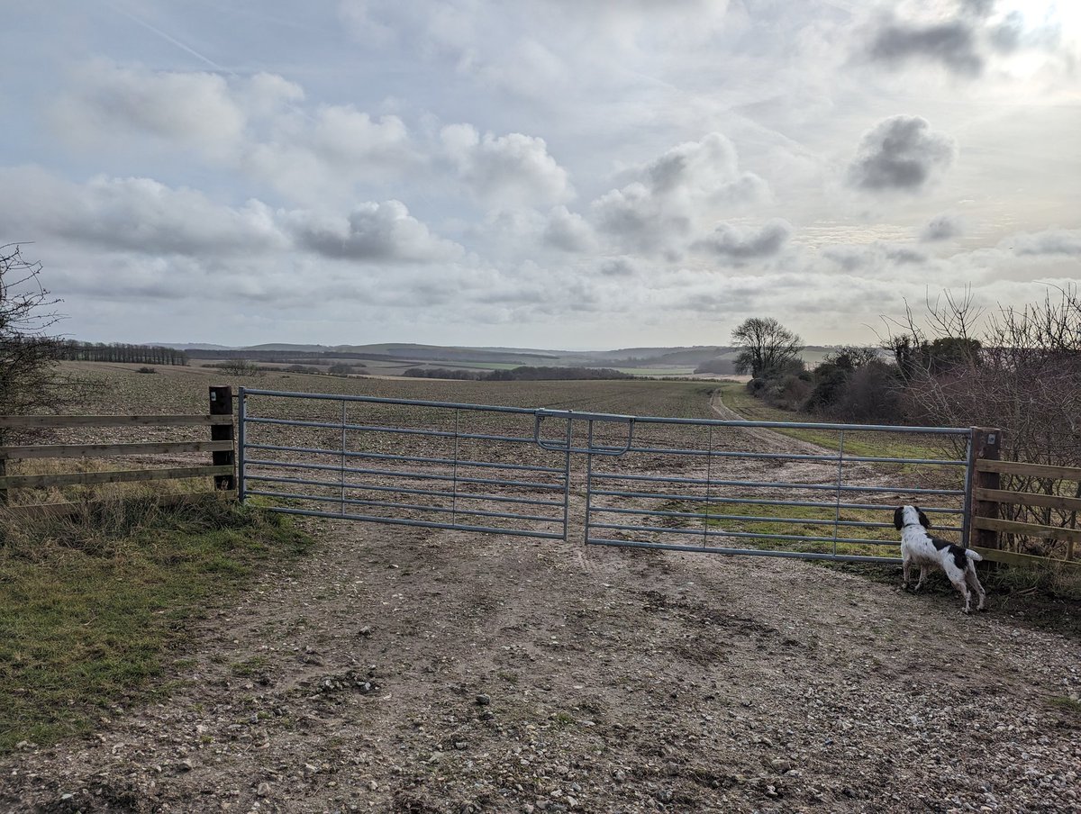 RecyclerBill's tweet photo. Today's #GateOfTheDay
@sdnpa #southdownsnationalpark
#WatchingThePheasantShoot π
#QuiteInterestingGatesAndLatchesOfTheUK with
#BillsGates & #HarryStilesπ https://t.co/KNYqqmKU9L