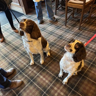 esvjohn's tweet image. #NewProfilePic