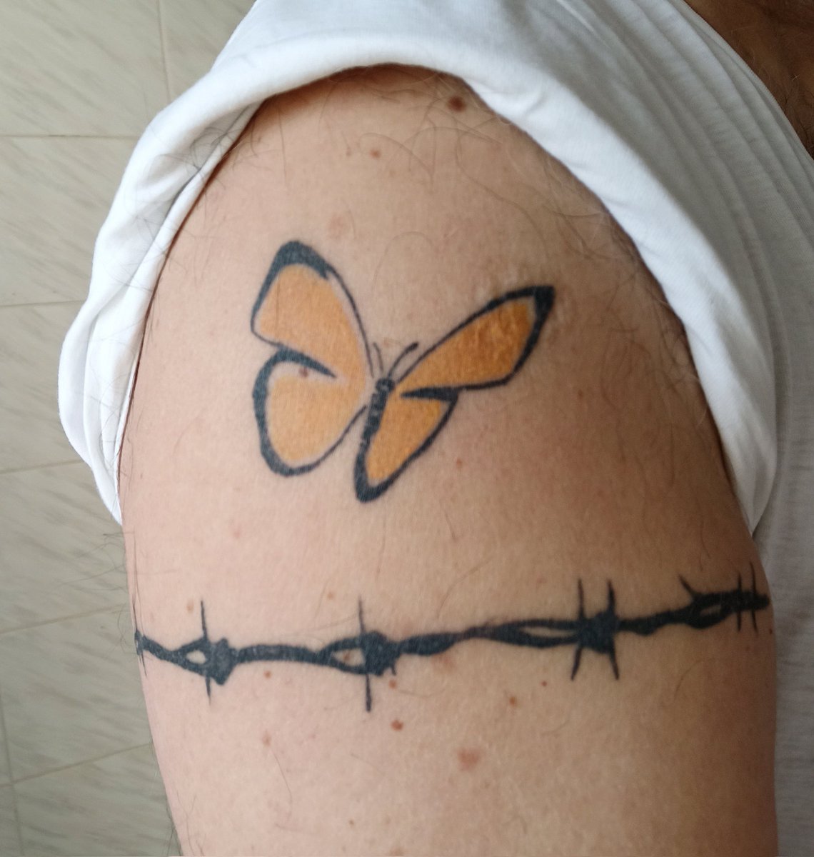 Antonio Padula 🇪🇺🌍🌌 tweet media