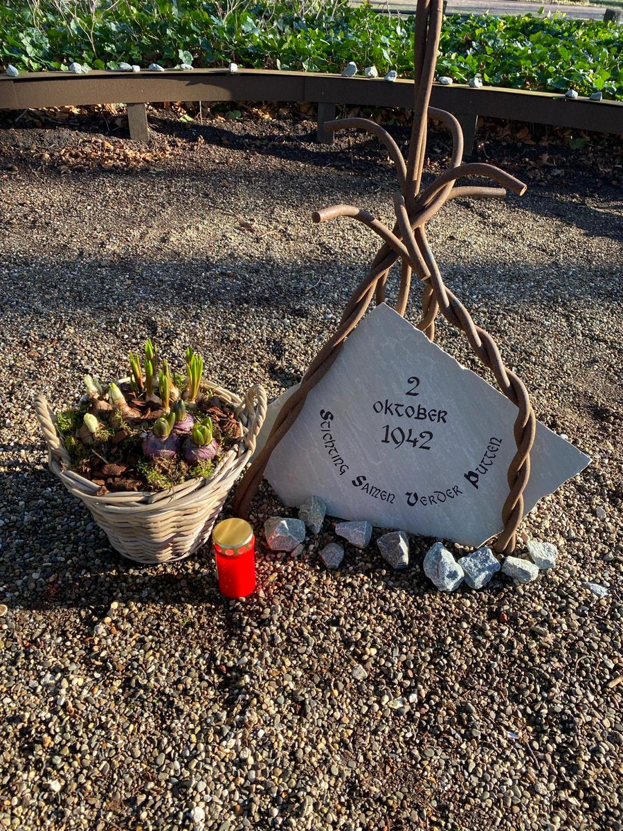 International Holocaust Remembrance Day. Stichting Samen Verder Putten heeft vandaag stilgestaan bij de jaarlijkse herdenking bij het monument # Sarah ter herinnering aan het Joods werkkamp wat hier was gevestigd in kasteel De Vanenburg. <a href="/OmroepGLD/">Omroep Gelderland</a> 
youtu.be/Ni7a4F6emtE?si…