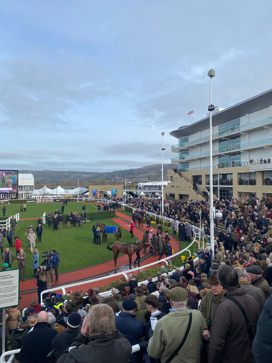 🗣️ Work Rider / Racing Groom at @PFNicholls A role that will involve riding out 3 or 4 lots, general yard and stable duties and lots of chances to attend various racecourses including the big festivals. More Info: ➡️ jobs.careersinracing.com/job/332596/wor… #CareersinRacing #Jobs