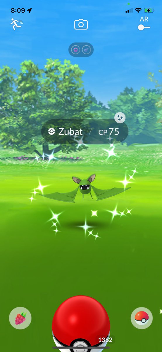 HermesNinja's tweet image. Woke up, made a ☕️ and battled my first Rocket balloon of the new rotation. Cliff. Blue Zubat.

💚✨💚 But then the first mon I click on in the magic driveway? Shiny! Oh, well - all sparkles are good sparkles!! 💚✨💚

#PokemonGO #ShinyPokemon #TeamGORocket #TakenTreasures