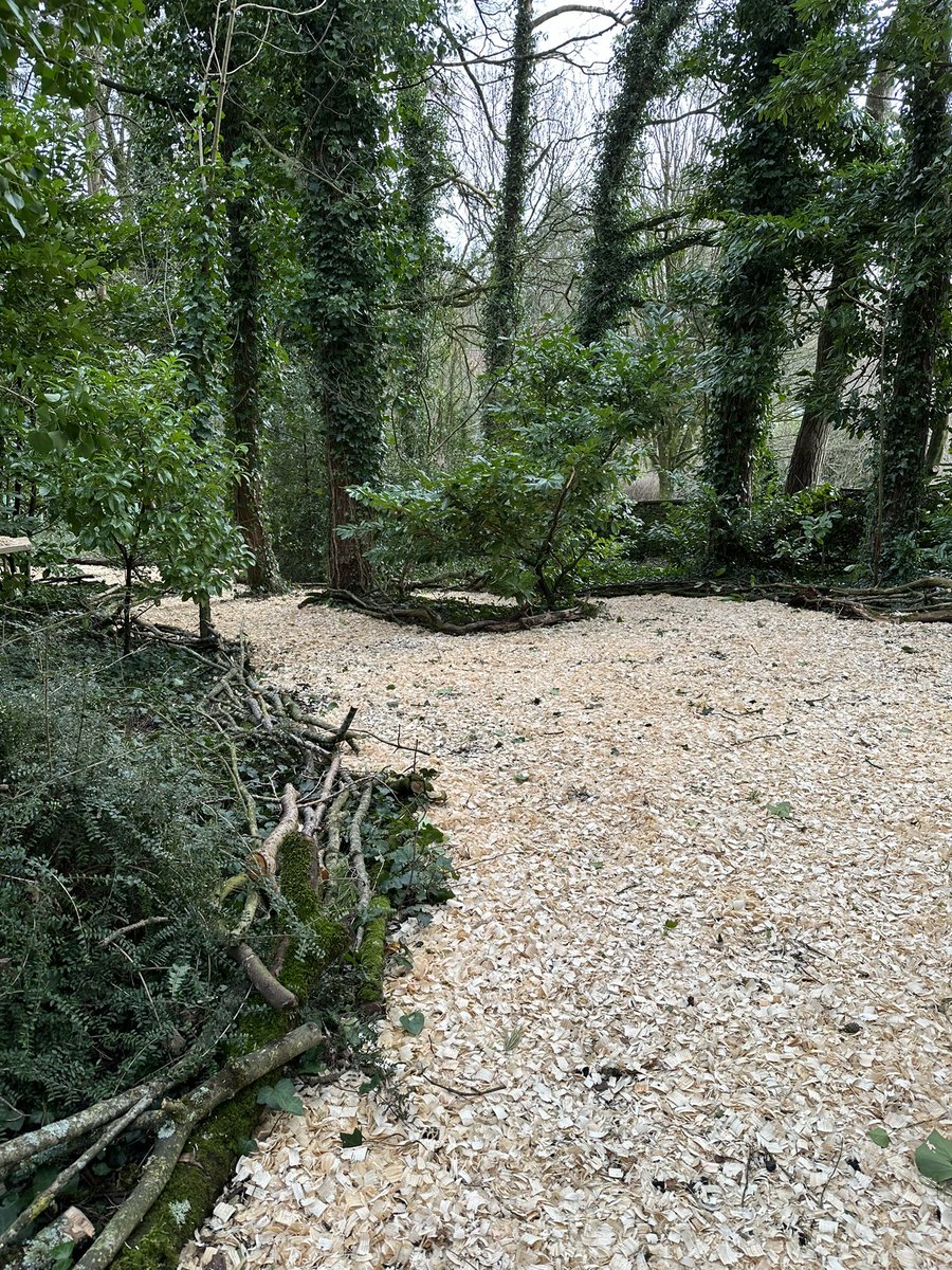 How would you use this stunning woodland creation for learning? 

@MichaelRosenYes @RoutledgeEd @richreadalot @Headteacherchat @PrimEduVoices @DHT_primary 

#woodland #creativity #PrimarySchool #primaryteacher #primaryschoolteacher #primaryeducation #primaryteaching