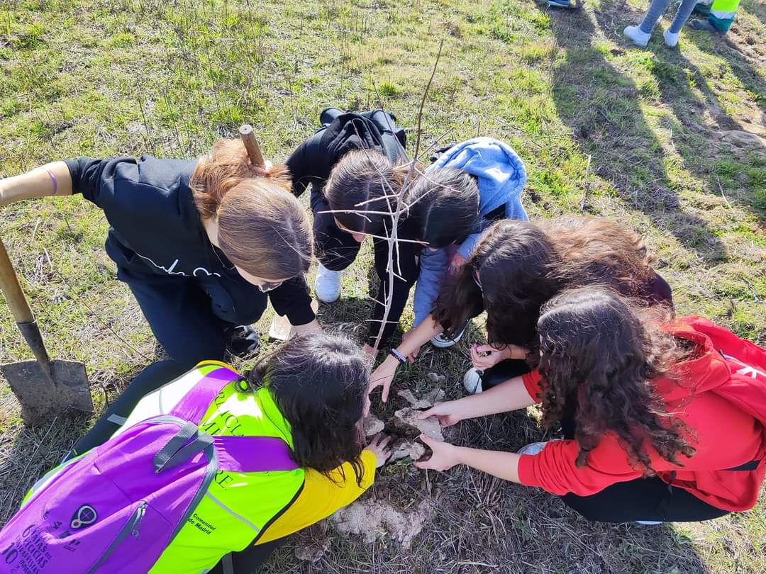Podemos_Parla's tweet photo. Semana de la Educación Ambiental 🌏🌿!

Nuestra concejala de Medio Ambiente @CarlaEValero00 , ha participado con el alumnado del IES Las Américas en la plantación realizada en el Cerro de la Cantueña 👧🏼👦🏽 https://t.co/CnWFvUKcsI