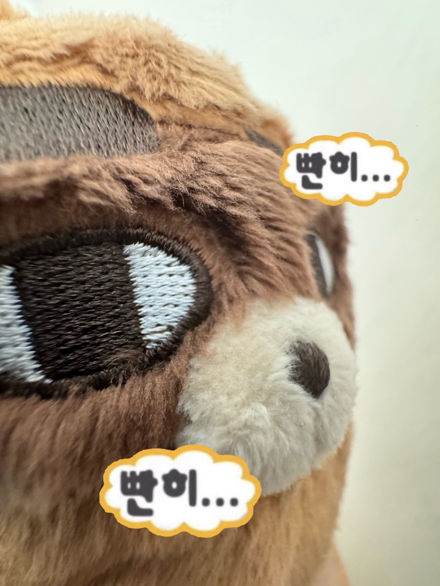 #빤구리가_자꾸_쳐다봐요
어떤 야생너구리가 자꾸... 빤히...