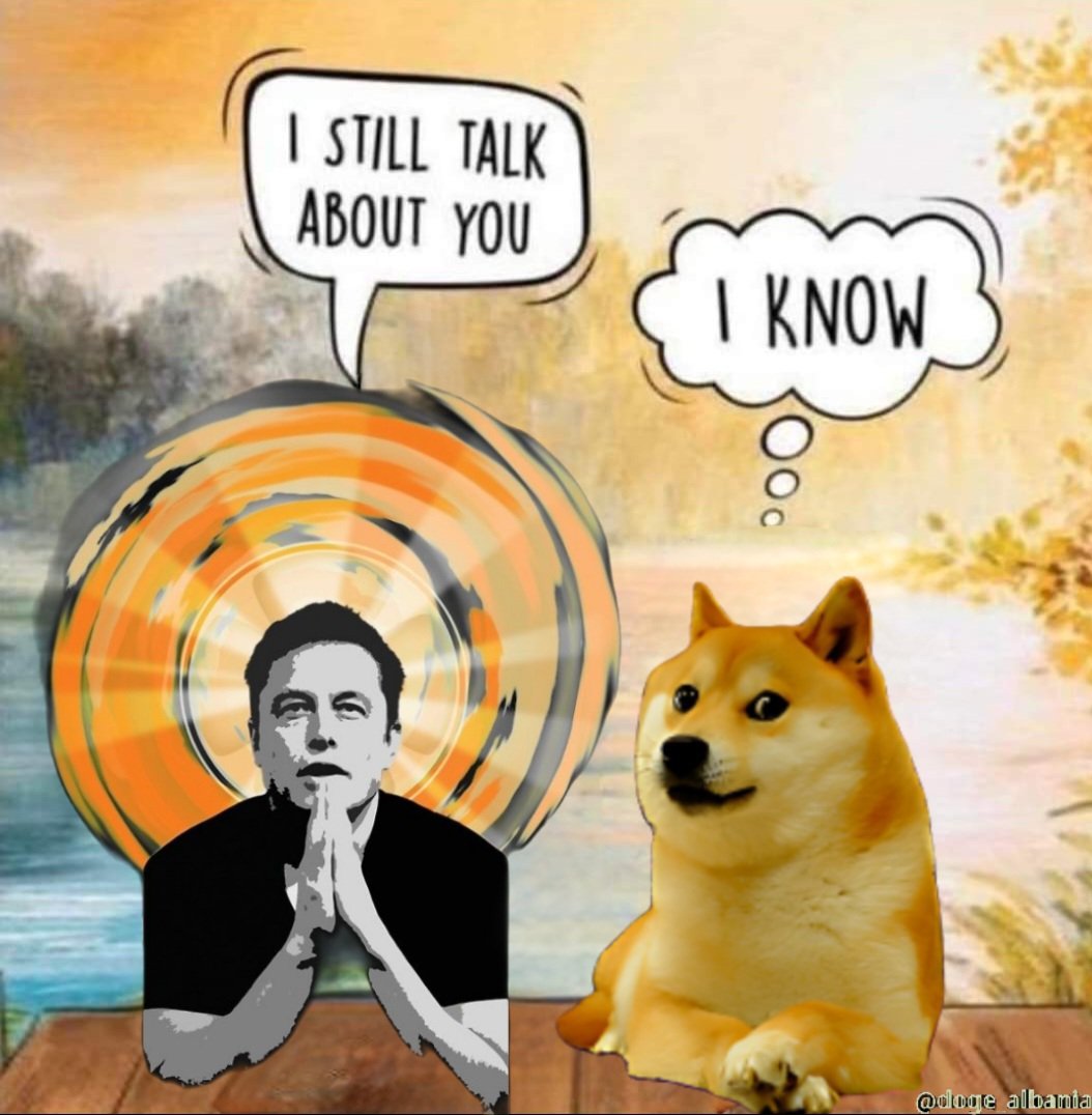 doge_albania tweet picture