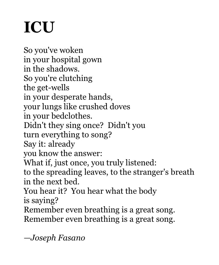 Joseph Fasano tweet media