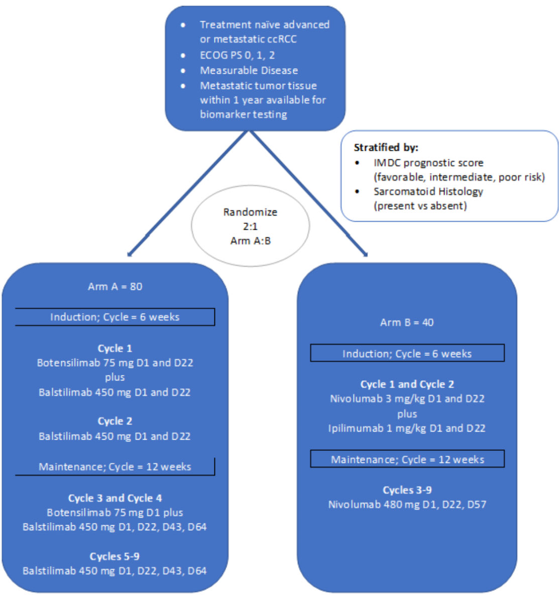 MikeSerzanMD's tweet photo. 1/ Interested in learning about the 🔥 hottest new ICI BOTENSILIMAB 🔥 in Kidney Cancer?
Follow the 🧵 below and check out 🗓️ TIP Poster @ASCO #GU24 Saturday 01/27/24 7-8am, 1130-1pm
#ARCITECT
RP2 @ 13 sites
ALL Risk ccRCC, no prior Tx
ArmA: BOT/BAL (80)
ArmB: NIVO/IPI (40) https://t.co/jliY3Xx09V