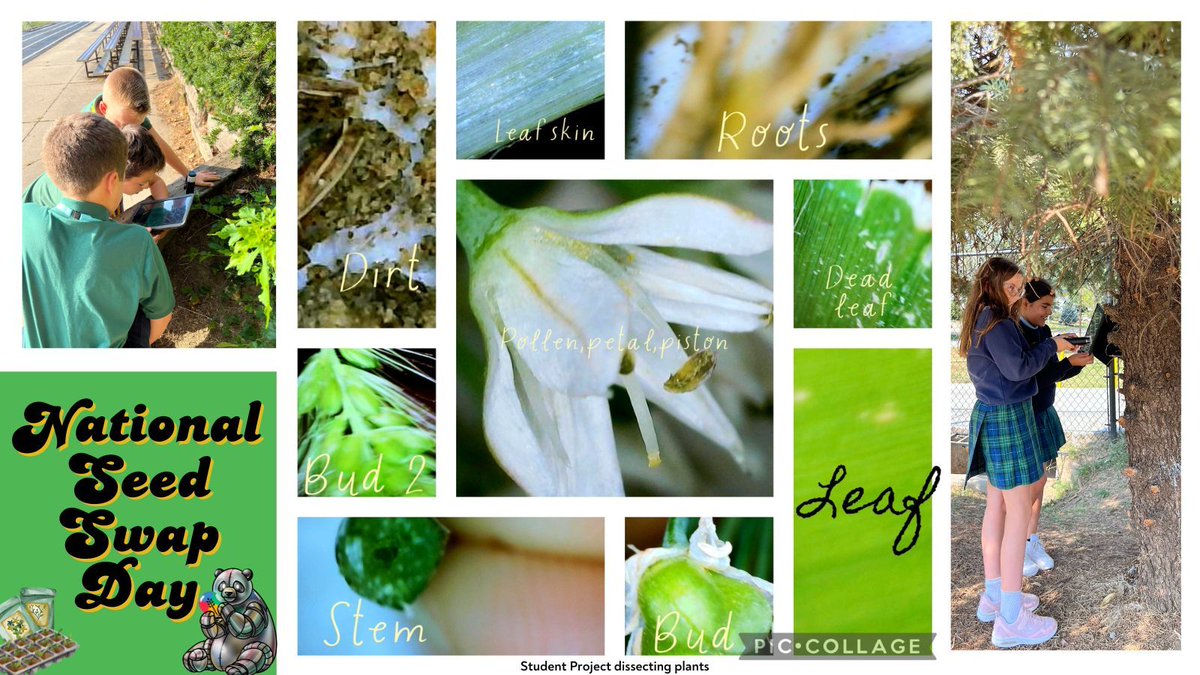 Prairie STEM tweet media