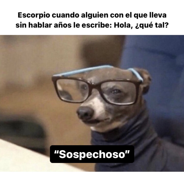 escorpio_hn's tweet photo. Muuuuuy sospechoso 🤣 https://t.co/lAUABtmVMD
