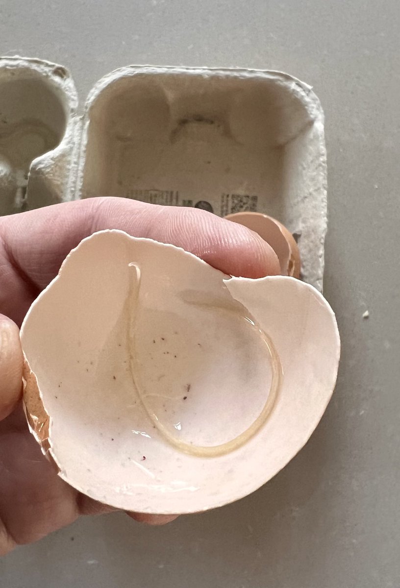 Neil Eccleston tweet media