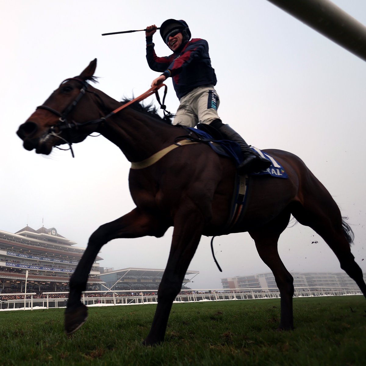 AtTheRaces's tweet image. Thanks for everything, Datsalrightgino 💔