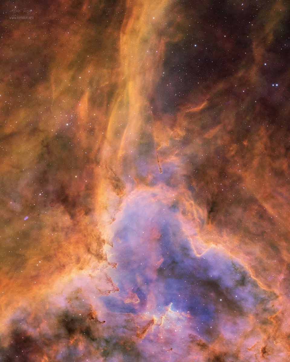 The Heart nebula, IC1805, in a new perspective from Melotte 15 by <a href="/astrocatinfo/">Aleix Roig</a>