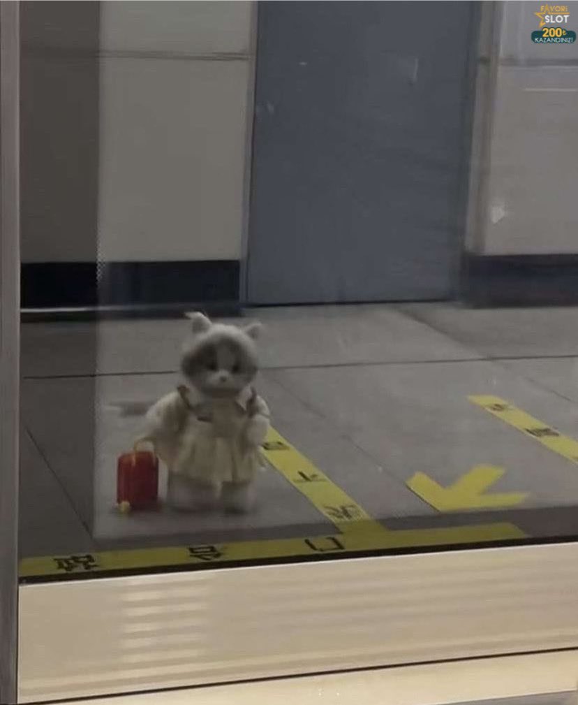 alırım başımı
başım bir deli nehir