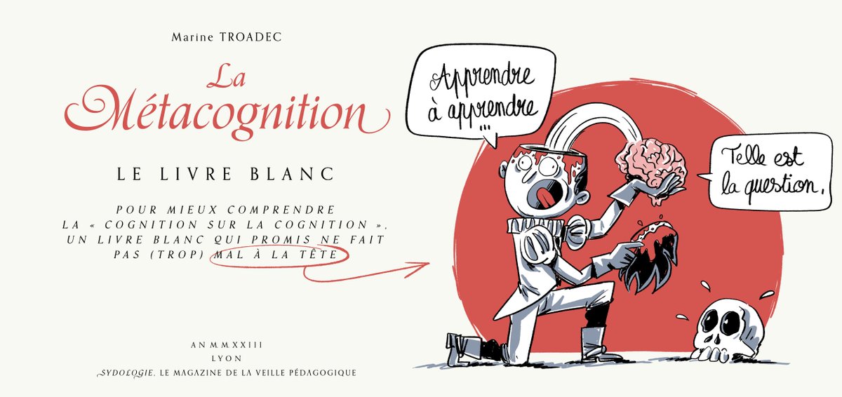 #Enseignement #metacognition Voici un livre blanc qui vous permettra de comprendre ce qu’est la #métacognition et comment s’en servir dans le cadre de formations <a href="/sydologie/">sydologie</a> sydologie.com/livres-blancs/