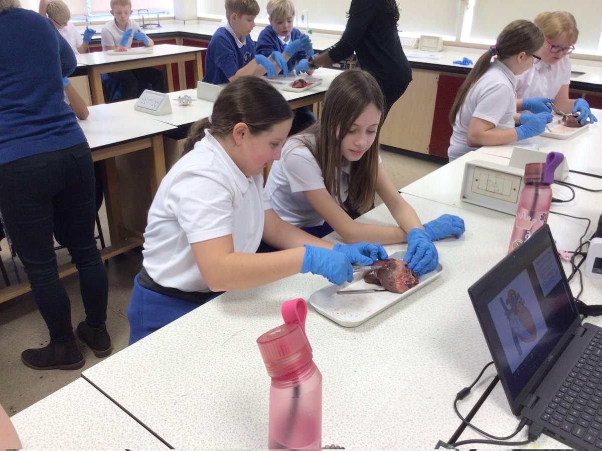Woodhall Primary School (@woodhallsudbury) on Twitter photo Flash back to December - half of Year 6 visited <a href="/OrmistonSudbury/">Ormiston Sudbury</a> for a science lesson which involved dissecting a heart. The other half of year six will be visiting at the beginning of February. Flash back to December - half of Year 6 visited <a href="/OrmistonSudbury/">Ormiston Sudbury</a> for a science lesson which involved dissecting a heart. The other half of year six will be visiting at the beginning of February.