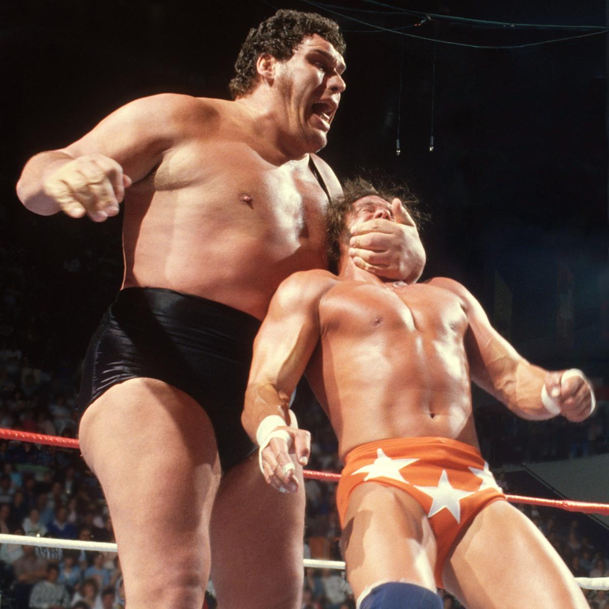 landofthe80s's tweet image. On this date in 1993 the immortal Andre the Giant passed away at the age of 46. Outside of the ring Andre appeared in a number of tv/movie roles including "The Princess Bride", "The Fall Guy" and "The Greatest American Hero". #80s