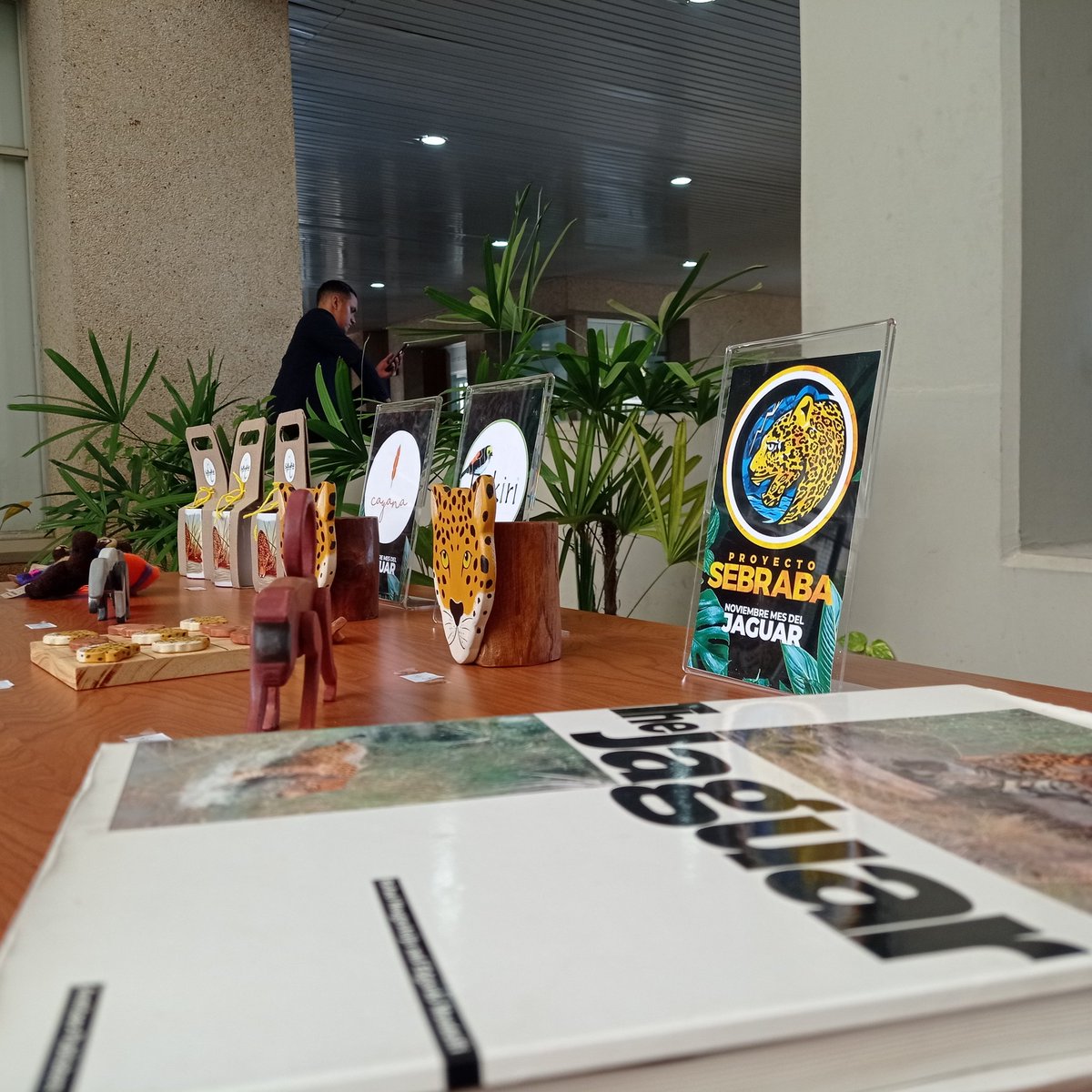 🐆🐆 Este #27Ene cierra la exposición "Jaguares de los pantanos zulianos" del <a href="/ProyectoSebraba/">Proyecto Sebraba Venezuela</a> en la Biblioteca Pública del Zulia, en Maracaibo . Aún puedes asistir. 

La entrada es gratuita 👇🏾