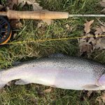 Photo by Tom Bellinger (@FlyFishermanTom)