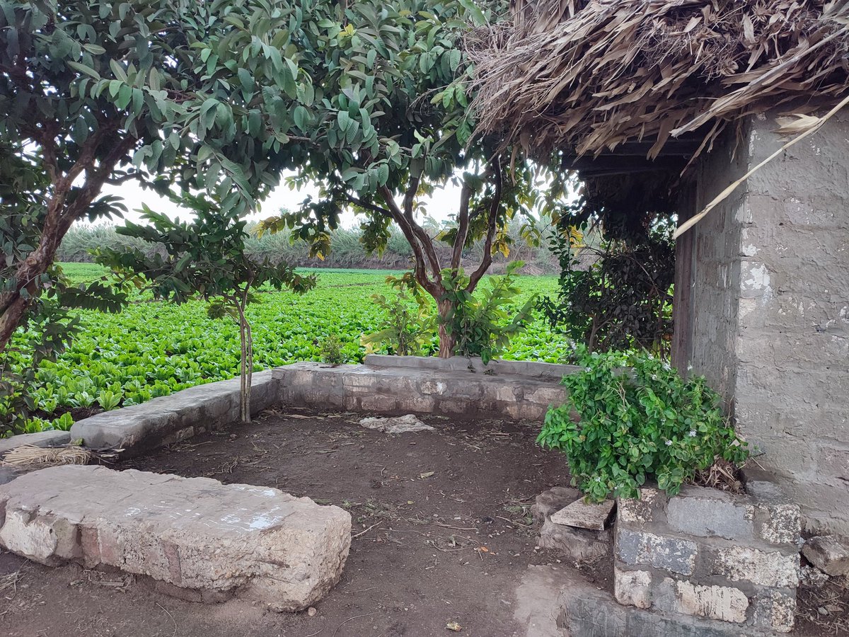 عشوائيات الأرض ❤️🌧️🌳