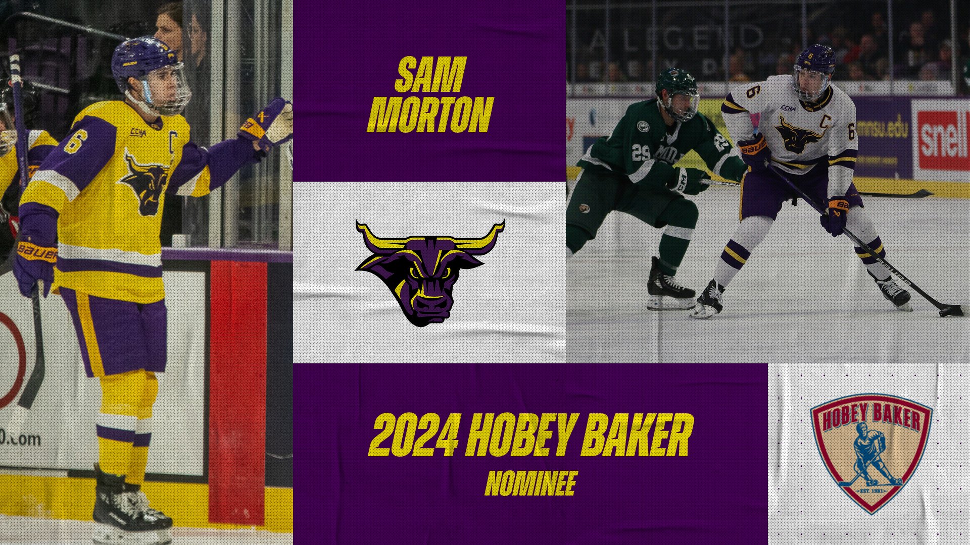 Minnesota state hockey store jersey
