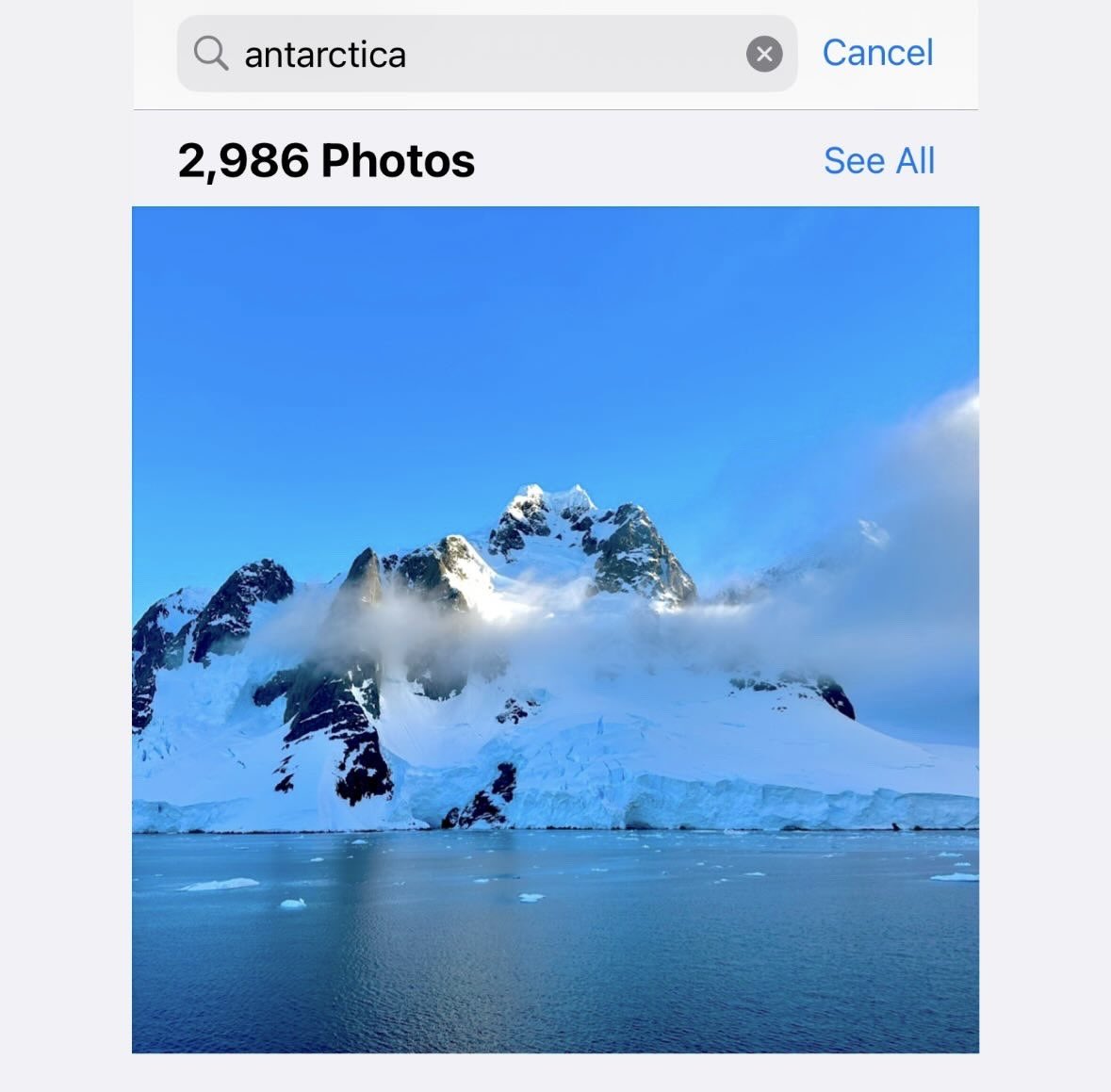 rachelryle's tweet photo. My reality: I took 2,986 clips in Antarctica. So yeah, I’m still posting about it.🫣 

Also, I’m making an animation about it…so I’m mentally &amp; creatively still there!💋 https://t.co/uP4aHfIWWW
