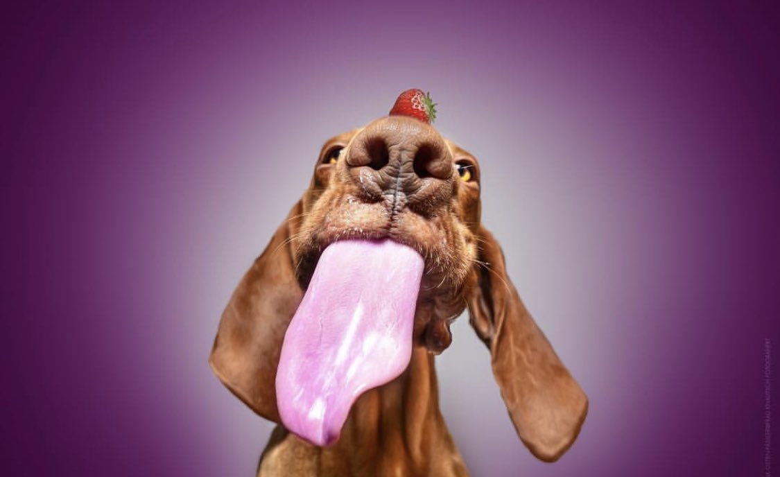 냠 👅 다 까대면 너무 .. 좀 그래서 ♥️ 
작게나마 소심하게 왁싱끗! #인증샷 #섹트 #유부녀