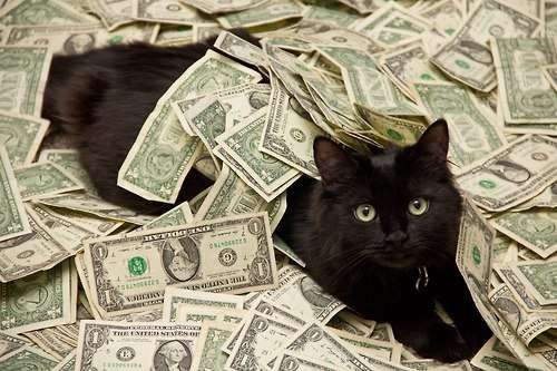 Time to Pay, Mr. Black Cat
_________________________