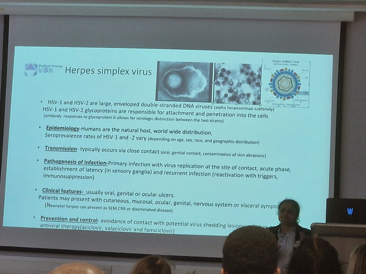 SheffLabMed's tweet photo. The next 4 talks come from Dr Anupma Mutagi with  Dr Chidi Anakebe, Dr Suha Akiki, @cariadmevans and BMS Holly Kimberley on the Topic of HSV in various settings. https://t.co/Ls6VHD2LSD
