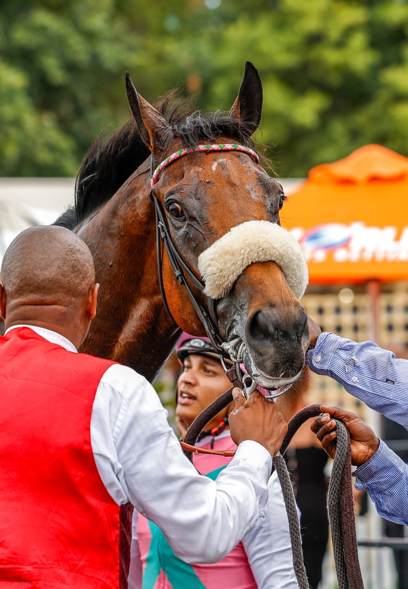 WorldSportsBet's tweet image. What a triumph! 🏇💰 RAPIDASH charges to victory in the Cape Racing Gold Rush! 🌟🏆 #GoldenRun #WSBCPTMET