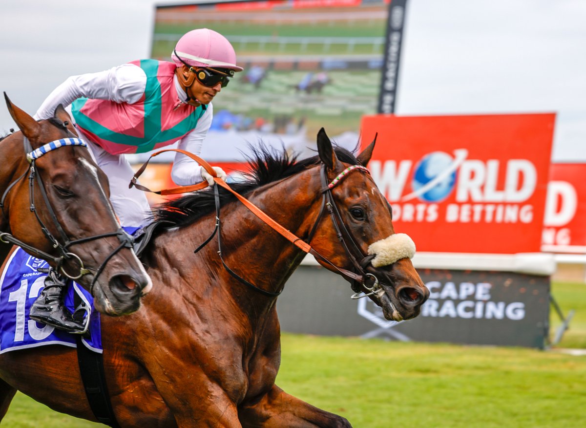 WorldSportsBet's tweet image. What a triumph! 🏇💰 RAPIDASH charges to victory in the Cape Racing Gold Rush! 🌟🏆 #GoldenRun #WSBCPTMET