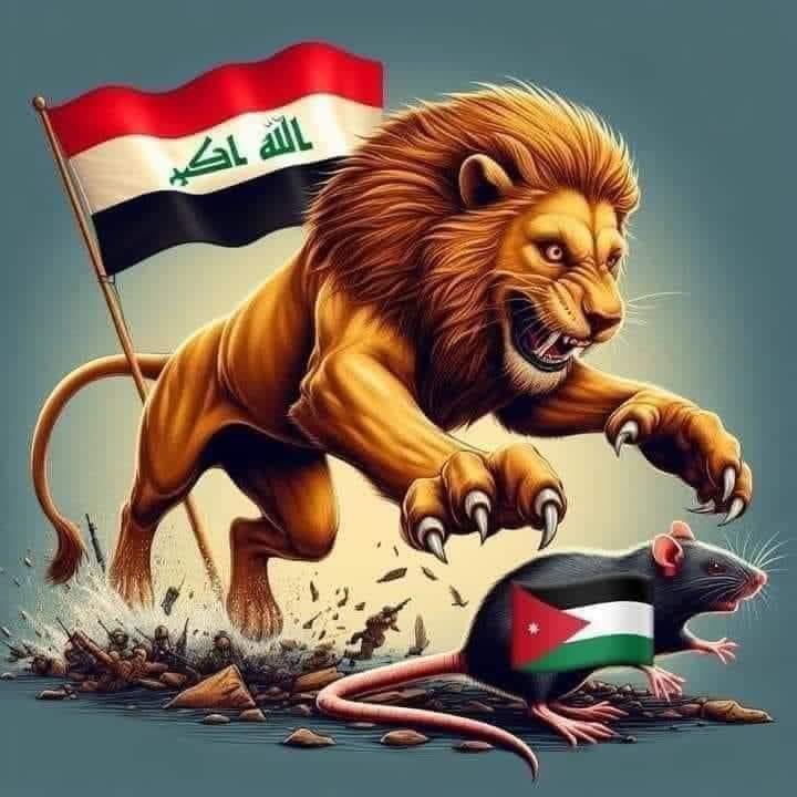 AnAx 🐊 tweet media