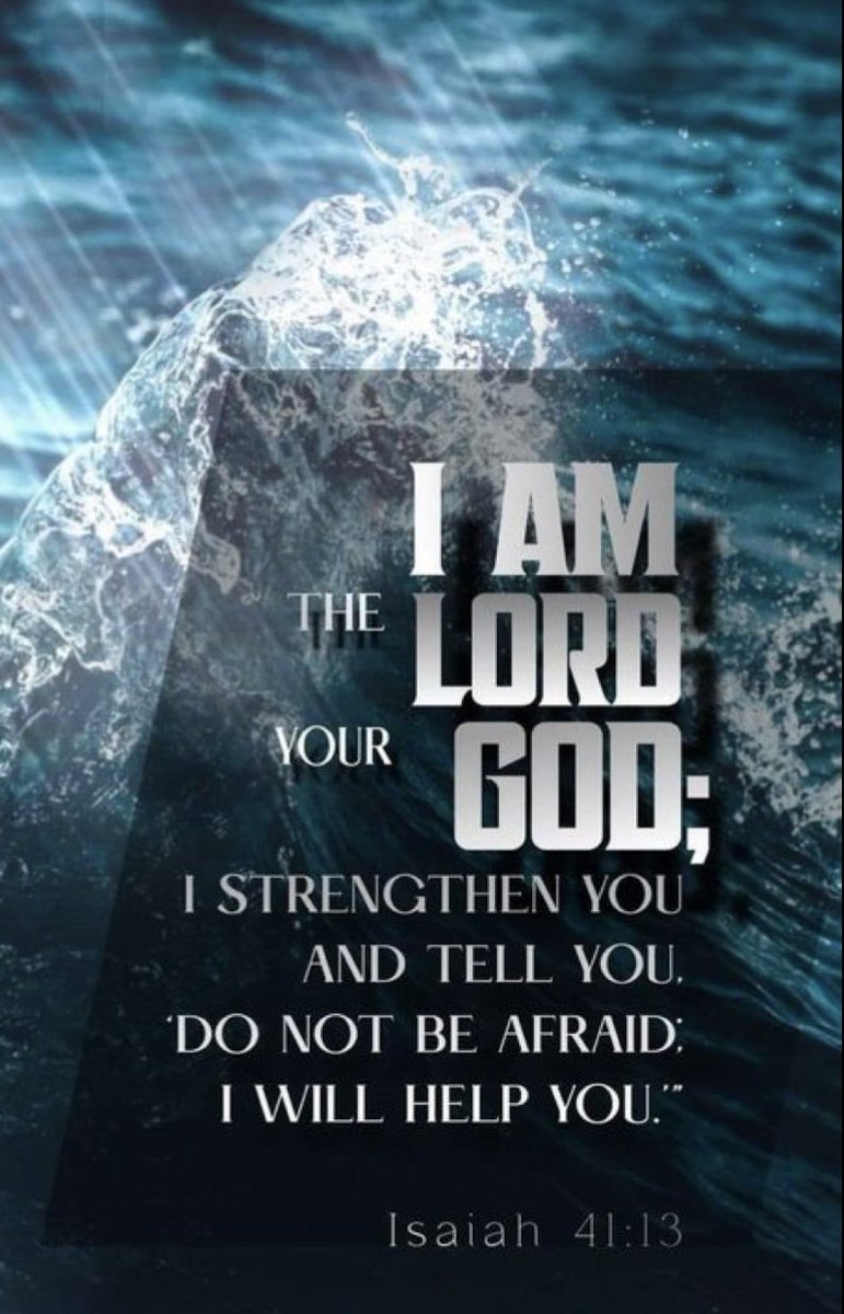 ViolettaRivis 👑 (@rivisvioletta) on Twitter photo 