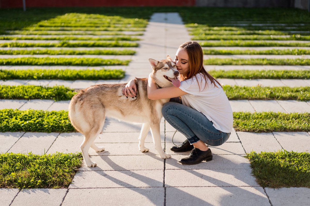 Love your dog!

#rescuedog #dogslife #cutedogs #dogs
