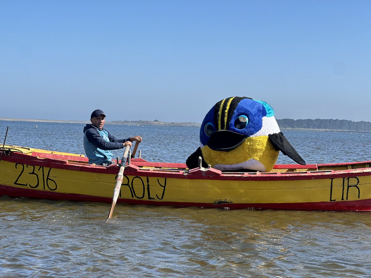 santiago2023's tweet image. Todo pasando con Fiu en la Región de Ñuble, parece… 😌👏