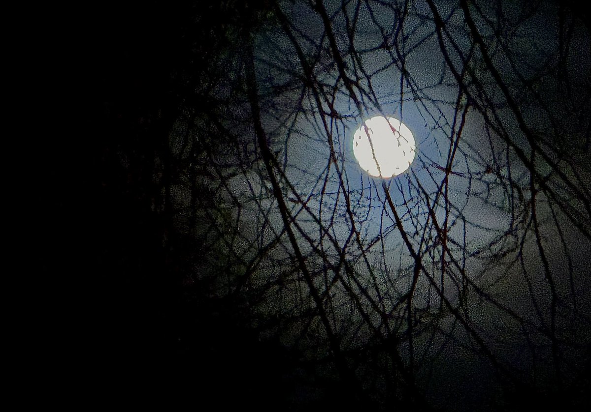 Moest net aan de #Voodoosclowskulls denken toen ik de maan zag 

m.youtube.com/watch?v=-dy74B…