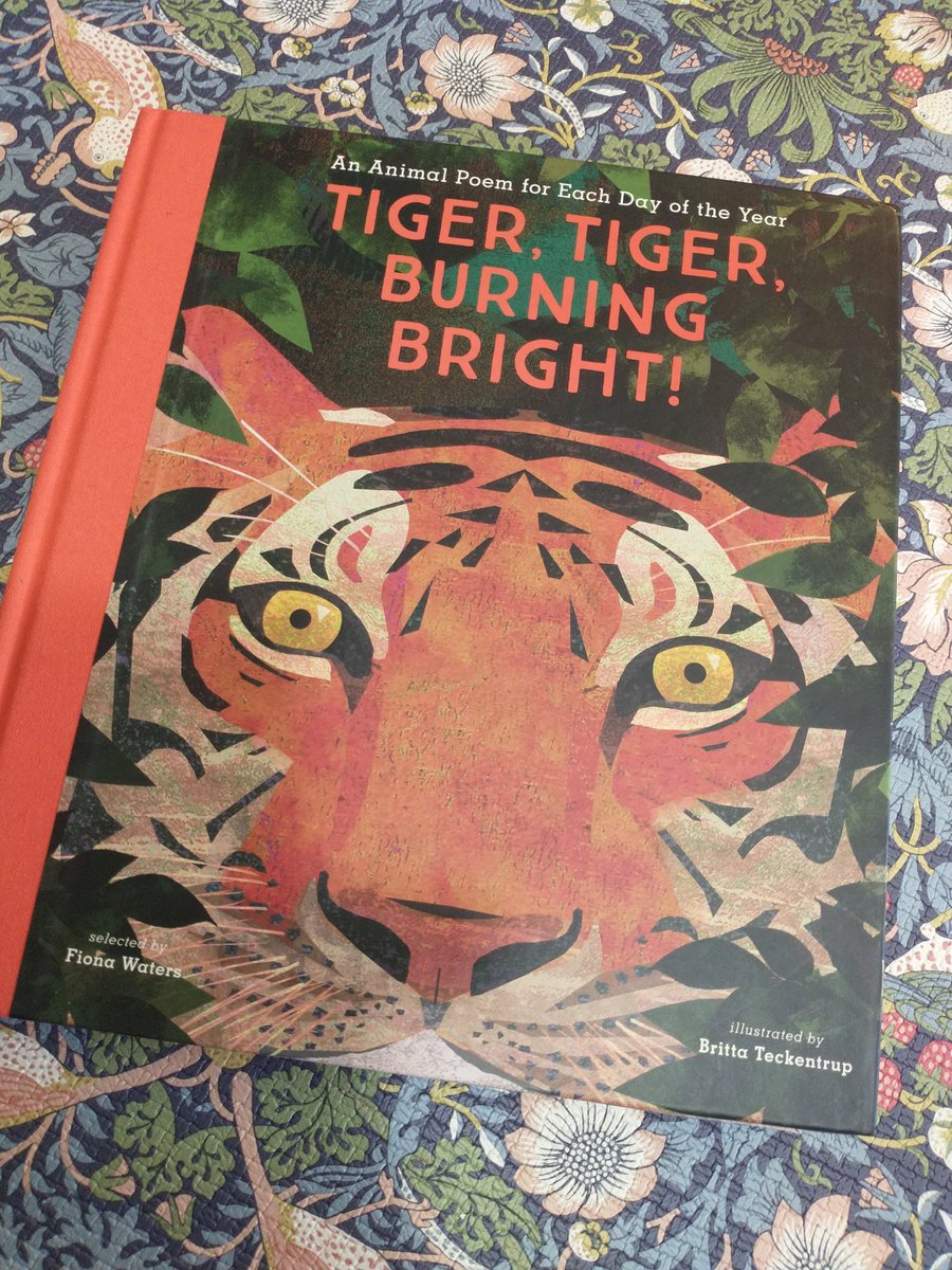 meadowsweet tweet media