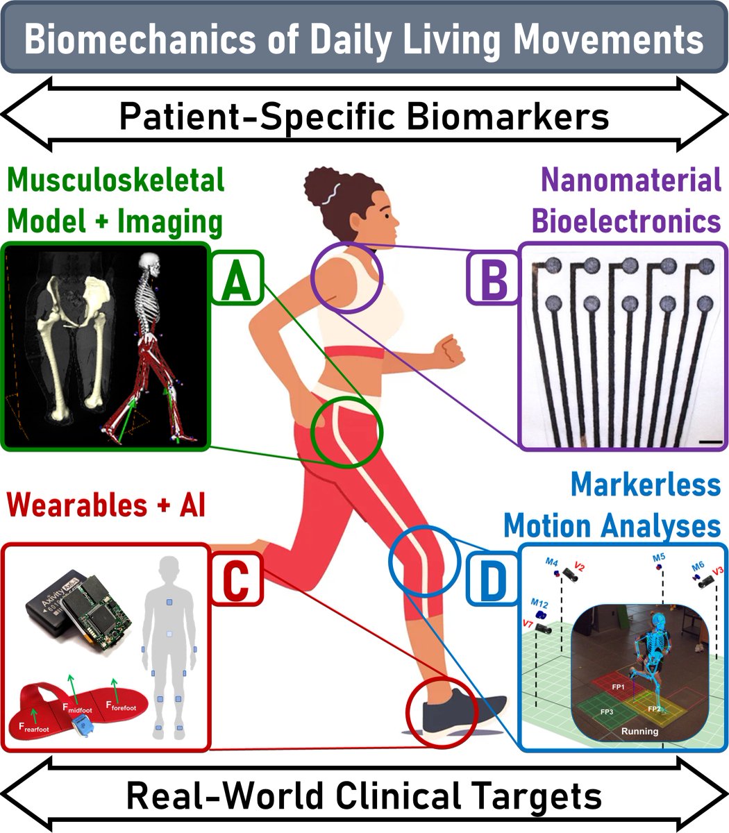 Ke Song (@biomecksong) on Twitter photo Better movement in daily living will lead to better health for everyone. That's why I study the biomechanics of how we move each day.
Hirers <a href="/ORSsociety/">Orthopaedic Research Society</a>: come by #FutureORSFaculty Poster 16 to see my vision on data-guided musculoskeletal rehab - and why I'm ready to work on it👇 Better movement in daily living will lead to better health for everyone. That's why I study the biomechanics of how we move each day.
Hirers <a href="/ORSsociety/">Orthopaedic Research Society</a>: come by #FutureORSFaculty Poster 16 to see my vision on data-guided musculoskeletal rehab - and why I'm ready to work on it👇