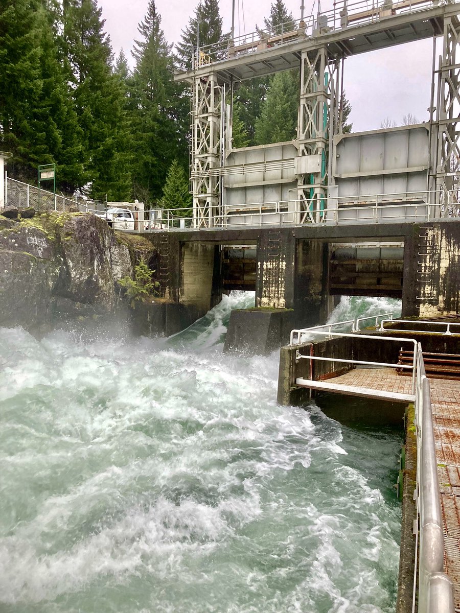 #BCStorm prep: get our daily weather forecast, our hydrologist updates a 7-day watershed inflow forecast, our engineer reviews inflows/outflows to manage the reservoir level and downstream considerations - flood to fish habitat.
⚠️Safety advisory: high flows.
#VancouverIsland