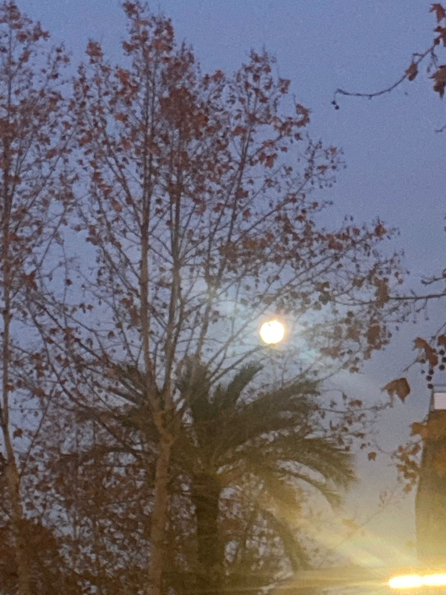 La política delictiva de l'Estat perseguint l' independentisme trepitjant la democràcia ha estat fet per PP i PSOE, abans segur, hi ha proves.
I ara no?