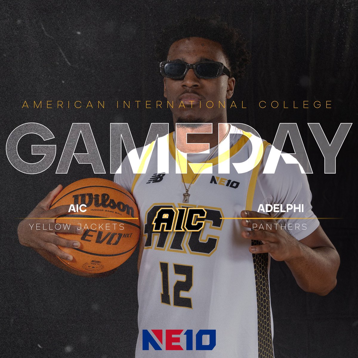 Back at it! Home game vs Adelphi @ 3:30. #PackTheHive #AICvs🌎