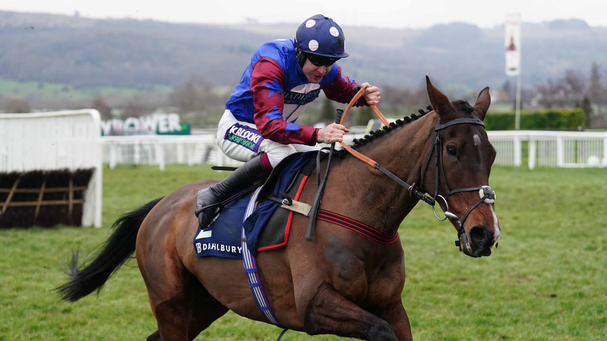 Road To Cheltenham tweet media