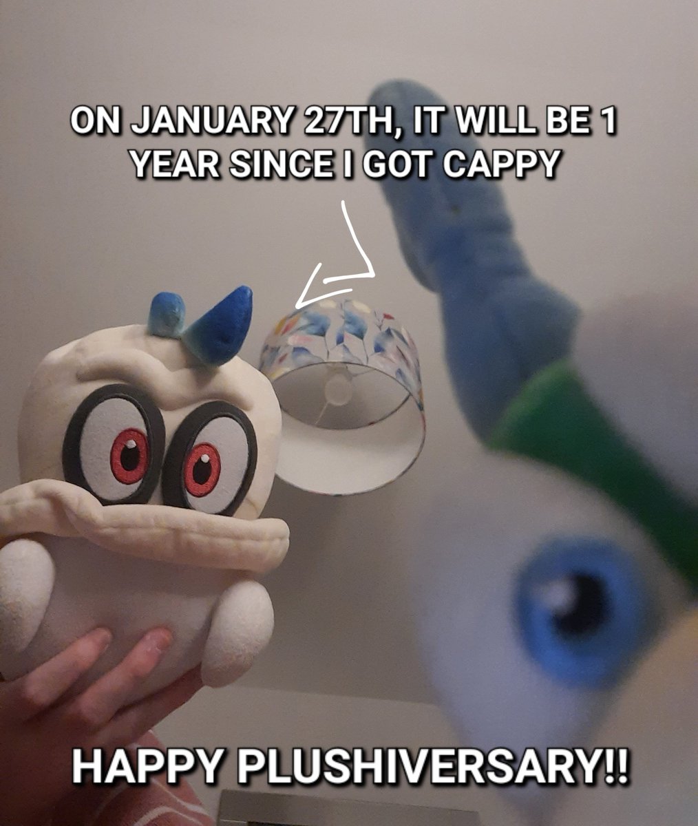 StarlaSuperstar's tweet photo. Guess what. My 1st Super Mario plushie turned 1 year old lol https://t.co/gklRaRYu1Q