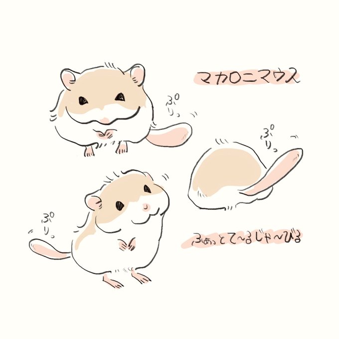 マカロニマウスかわいい