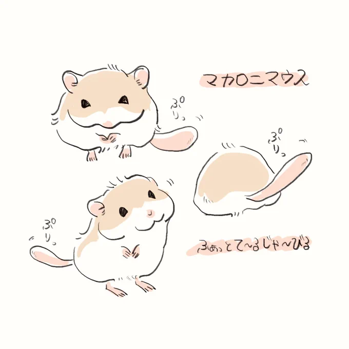 マカロニマウスかわいい