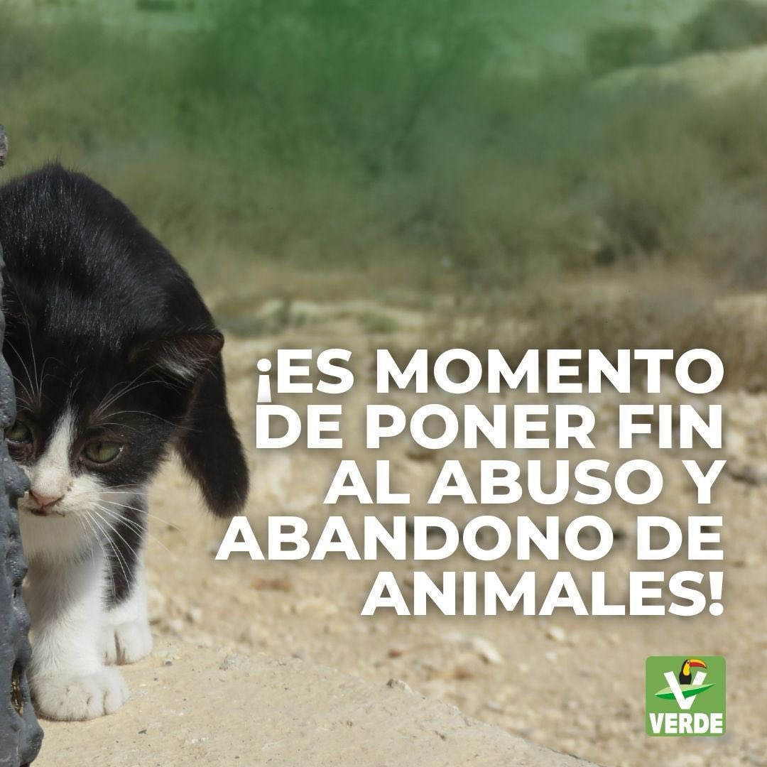 DiputadosVerdes's tweet photo. Los #DiputadosVerdes propusimos incluir contenido ecológico en todos los niveles educativos, fomentando el cuidado y respeto hacia los animales para concientizar a todos sobre el medio ambiente, acabar con el maltrato animal y garantizar un planeta saludable. #LogroVerde https://t.co/GUHRnaxPHO