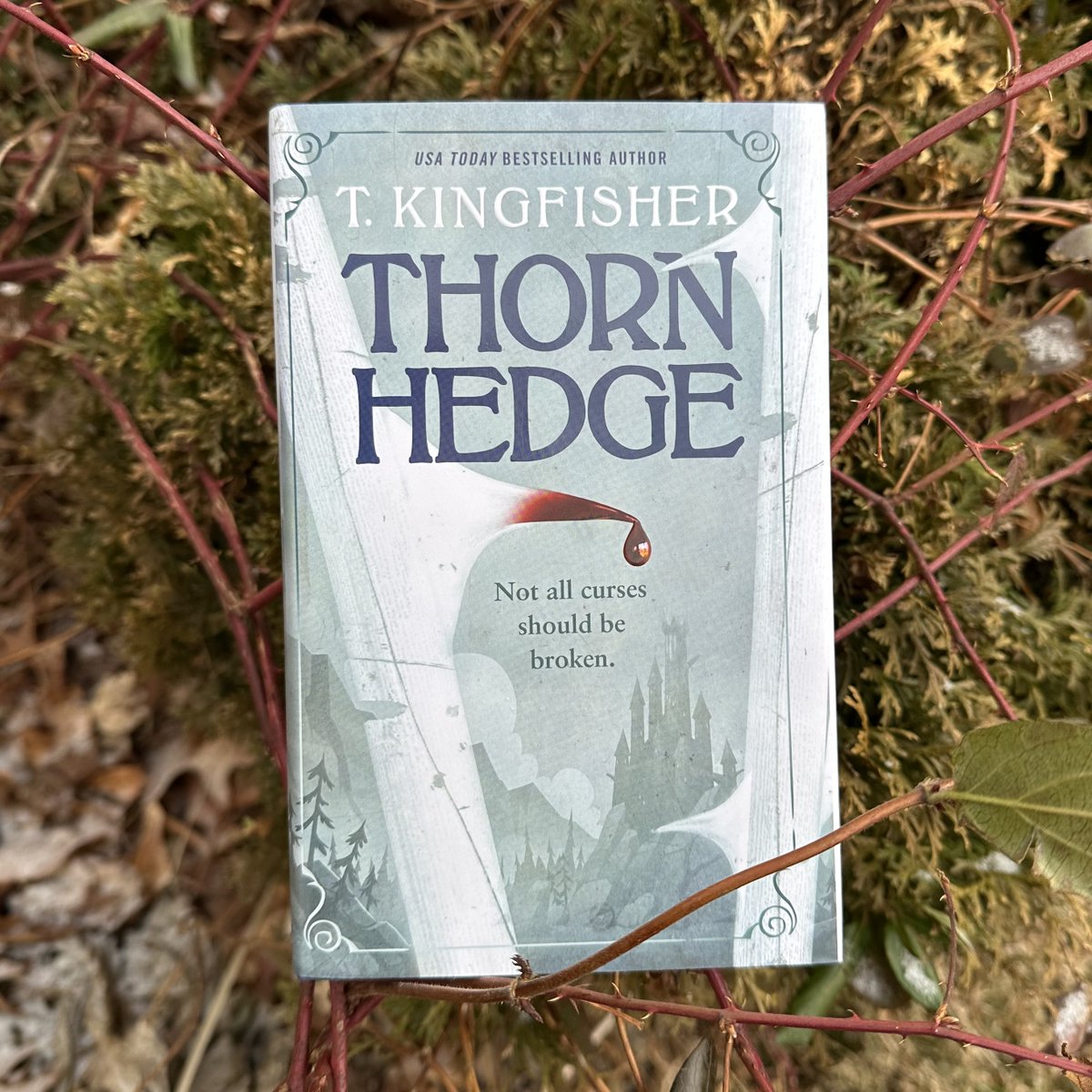 'The way Thornhedge turns all the fairy tales inside out is a sharp-edged delight.' —@pennyvixen, author of #TheGoblinEmperor, on #Thornhedge by @UrsulaV, on sale now 🐸 us.macmillan.com/books/97812502…